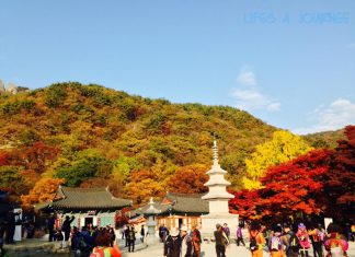 tour du lịch hàn quốc