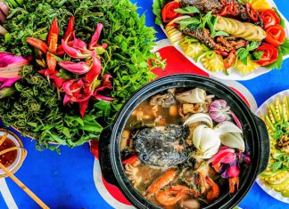 Du lịch Cà Mau có gì? Nên ăn gì, đi đâu cho hợp lý Du lịch Cà Mau có gì? Nên ăn gì, đi đâu cho hợp lý